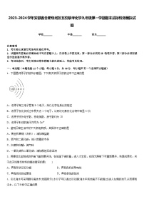 2023-2024学年安徽省合肥包河区五校联考化学九年级第一学期期末达标检测模拟试题含答案