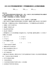 2023-2024学年安徽省合肥市四十二中学铁国际城校区九上化学期末经典试题含答案