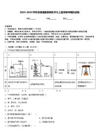 2023-2024学年安徽省临泉县化学九上期末联考模拟试题含答案