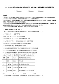 2023-2024学年安徽省合肥五十中学九年级化学第一学期期末复习检测模拟试题含答案