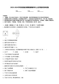 2023-2024学年安徽省合肥肥西县联考九上化学期末统考试题含答案