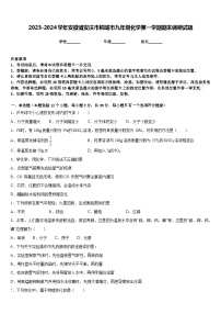 2023-2024学年安徽省安庆市桐城市九年级化学第一学期期末调研试题含答案