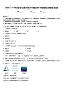 2023-2024学年安徽省六安市裕安区九年级化学第一学期期末质量跟踪监视试题含答案