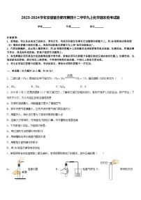 2023-2024学年安徽省合肥市第四十二中学九上化学期末统考试题含答案