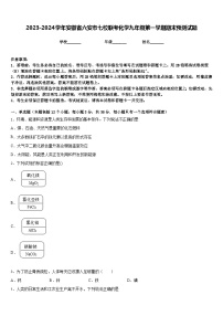 2023-2024学年安徽省六安市七校联考化学九年级第一学期期末预测试题含答案