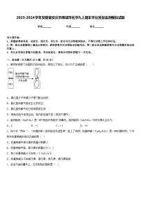 2023-2024学年安徽省安庆市桐城市化学九上期末学业质量监测模拟试题含答案