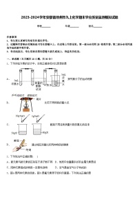 2023-2024学年安徽省池州市九上化学期末学业质量监测模拟试题含答案