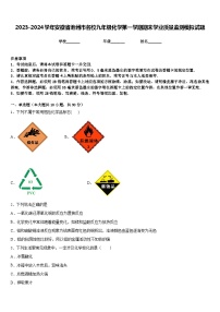 2023-2024学年安徽省池州市名校九年级化学第一学期期末学业质量监测模拟试题含答案