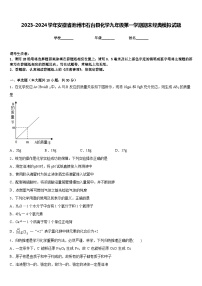 2023-2024学年安徽省池州市石台县化学九年级第一学期期末经典模拟试题含答案