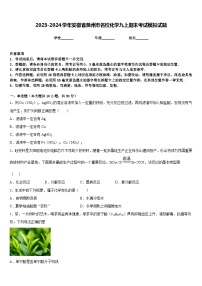 2023-2024学年安徽省滁州市名校化学九上期末考试模拟试题含答案