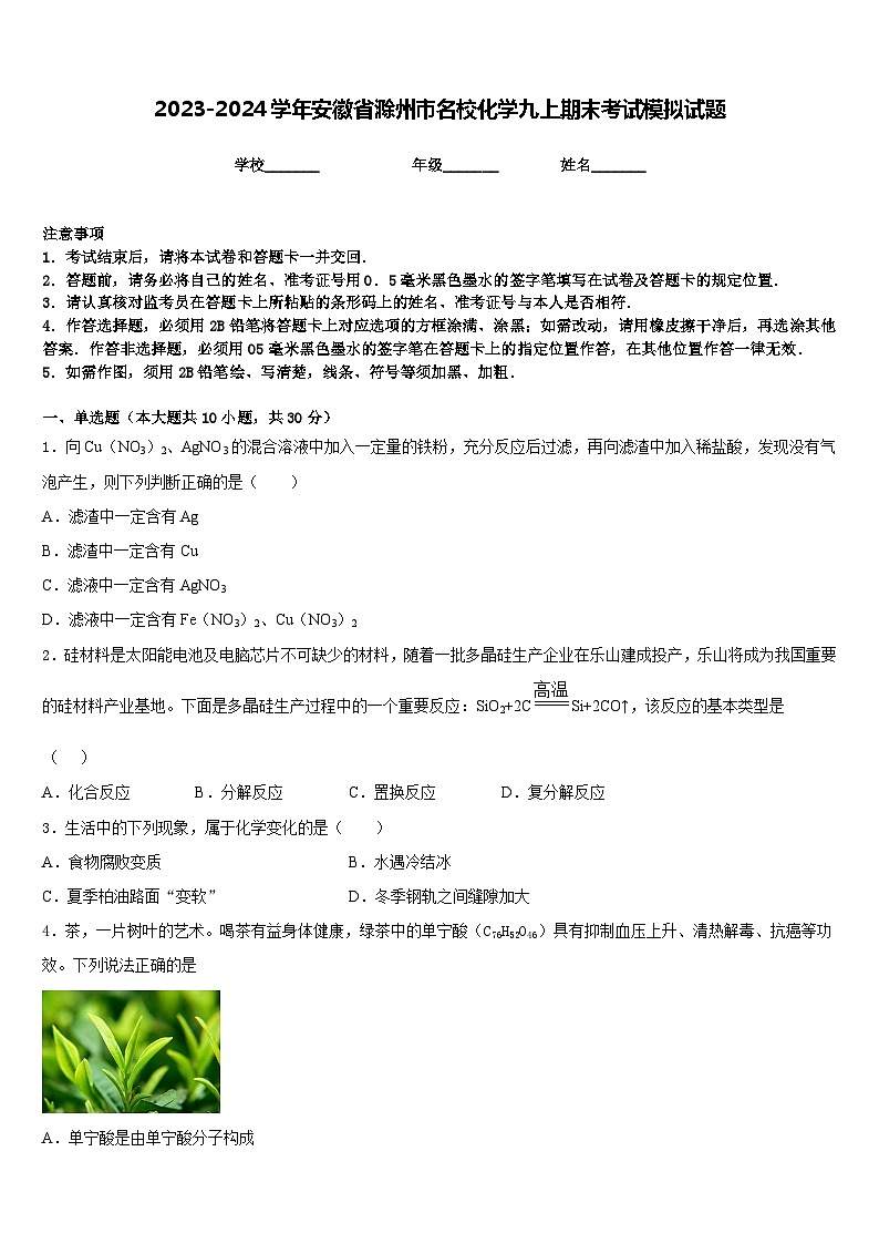 2023-2024学年安徽省滁州市名校化学九上期末考试模拟试题含答案第1页