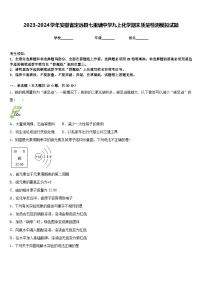 2023-2024学年安徽省定远县七里塘中学九上化学期末质量检测模拟试题含答案