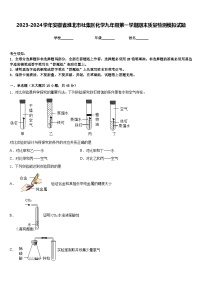 2023-2024学年安徽省淮北市杜集区化学九年级第一学期期末质量检测模拟试题含答案