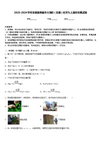 2023-2024学年安徽省淮南市大通区（东部）化学九上期末经典试题含答案