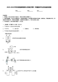 2023-2024学年安徽省濉溪县九年级化学第一学期期末学业质量监测试题含答案