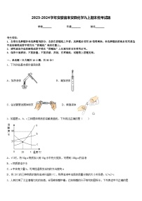 2023-2024学年安徽省来安县化学九上期末统考试题含答案