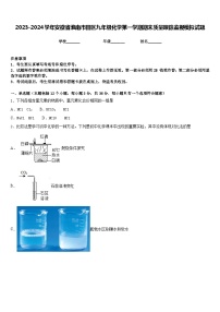 2023-2024学年安徽省淮南市田区九年级化学第一学期期末质量跟踪监视模拟试题含答案