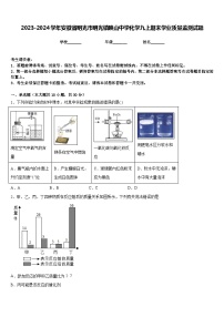 2023-2024学年安徽省明光市明光镇映山中学化学九上期末学业质量监测试题含答案