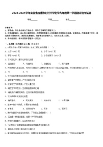 2023-2024学年安徽省宿州市时村中学化学九年级第一学期期末统考试题含答案