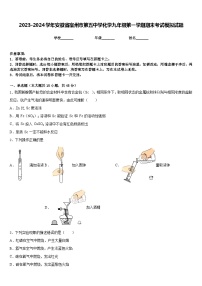 2023-2024学年安徽省宿州市第五中学化学九年级第一学期期末考试模拟试题含答案