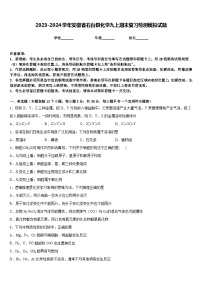 2023-2024学年安徽省石台县化学九上期末复习检测模拟试题含答案