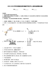 2023-2024学年安徽省芜湖市埭南中学化学九上期末监测模拟试题含答案