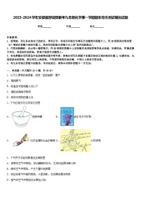 2023-2024学年安徽省舒城县联考九年级化学第一学期期末综合测试模拟试题含答案