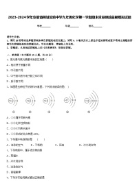 2023-2024学年安徽省桐城实验中学九年级化学第一学期期末质量跟踪监视模拟试题含答案