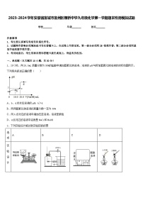 2023-2024学年安徽省宣城市宣州区狸桥中学九年级化学第一学期期末检测模拟试题含答案