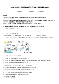 2023-2024学年安徽省寿县化学九年级第一学期期末统考试题含答案