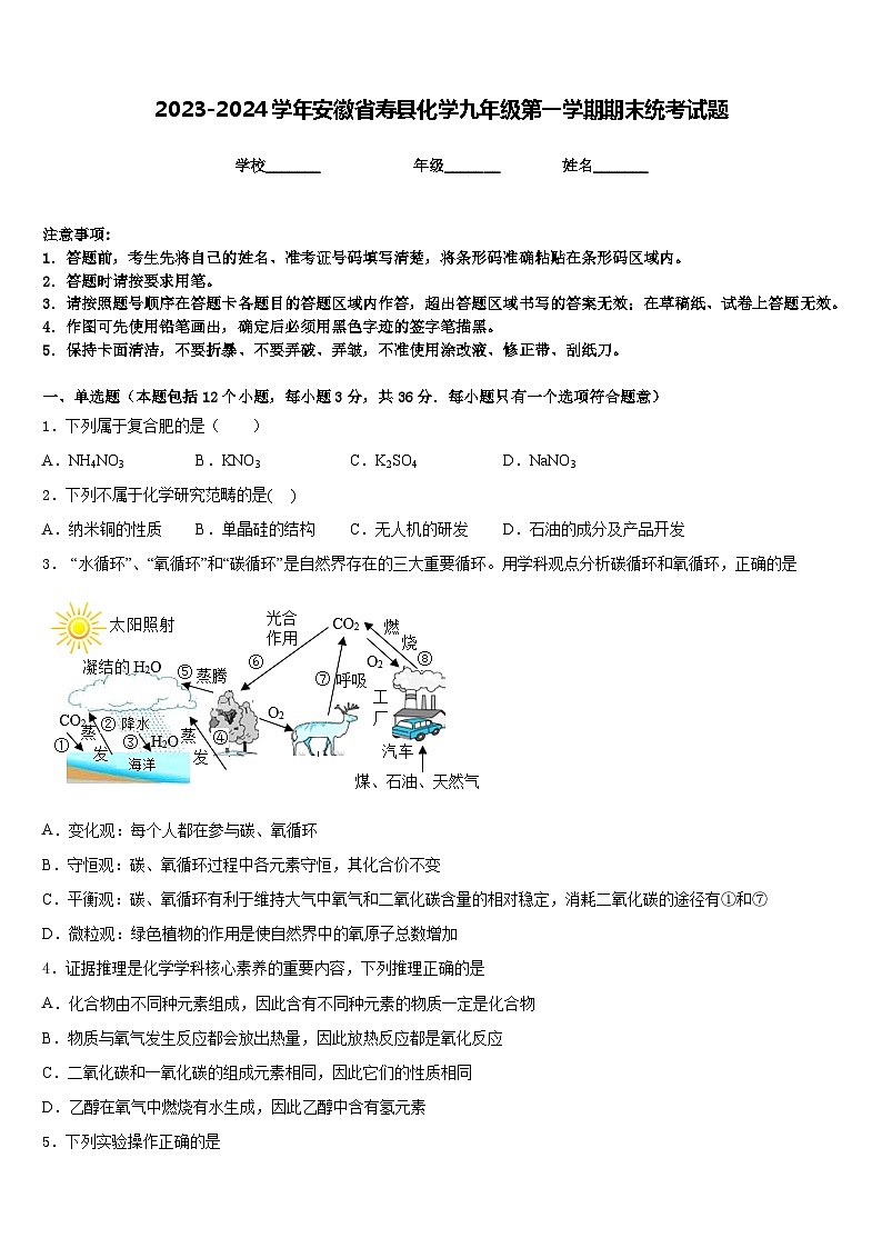 2023-2024学年安徽省寿县化学九年级第一学期期末统考试题含答案第1页
