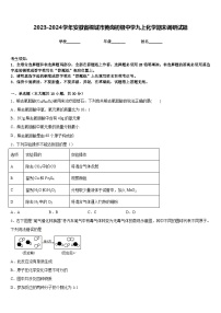 2023-2024学年安徽省桐城市黄岗初级中学九上化学期末调研试题含答案