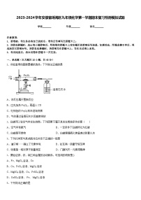 2023-2024学年安徽省瑶海区九年级化学第一学期期末复习检测模拟试题含答案