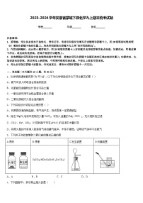 2023-2024学年安徽省蒙城下县化学九上期末统考试题含答案