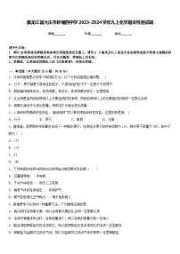 黑龙江省大庆市林甸四中学2023-2024学年九上化学期末检测试题含答案