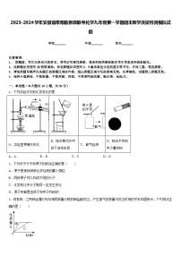 2023-2024学年安徽省阜阳临泉县联考化学九年级第一学期期末教学质量检测模拟试题含答案