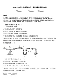 2023-2024学年安徽阜阳市九上化学期末经典模拟试题含答案