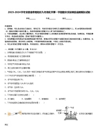 2023-2024学年安徽省阜阳地区九年级化学第一学期期末质量跟踪监视模拟试题含答案