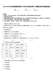 2023-2024学年安徽省阜阳市第十九中学九年级化学第一学期期末复习检测模拟试题含答案