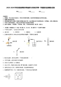 2023-2024学年安徽省阜阳市阜南县九年级化学第一学期期末监测模拟试题含答案