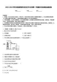 2023-2024学年安徽省阜阳市名校化学九年级第一学期期末质量跟踪监视试题含答案