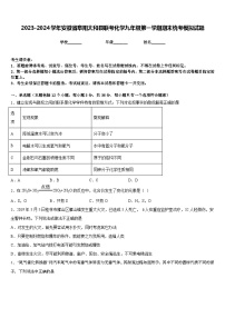 2023-2024学年安徽省阜阳太和县联考化学九年级第一学期期末统考模拟试题含答案