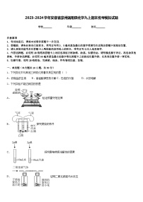 2023-2024学年安徽省豪州涡阳县化学九上期末统考模拟试题含答案