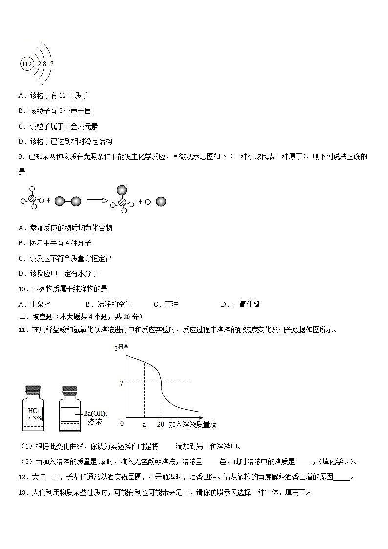 2023-2024学年安徽省长丰县联考九上化学期末学业质量监测试题含答案03