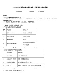 2023-2024学年安阳市重点中学九上化学期末联考试题含答案