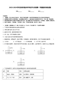 2023-2024学年宝鸡市重点中学化学九年级第一学期期末预测试题含答案