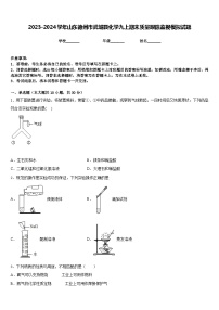 2023-2024学年山东德州市武城县化学九上期末质量跟踪监视模拟试题含答案