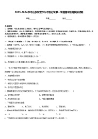 2023-2024学年山东东营市九年级化学第一学期期末检测模拟试题含答案