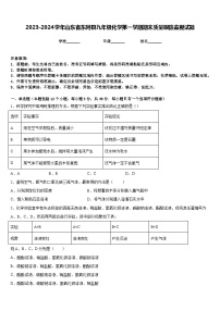 2023-2024学年山东省东阿县九年级化学第一学期期末质量跟踪监视试题含答案