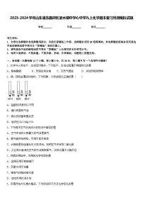 2023-2024学年山东省东昌府区梁水镇中学心中学九上化学期末复习检测模拟试题含答案